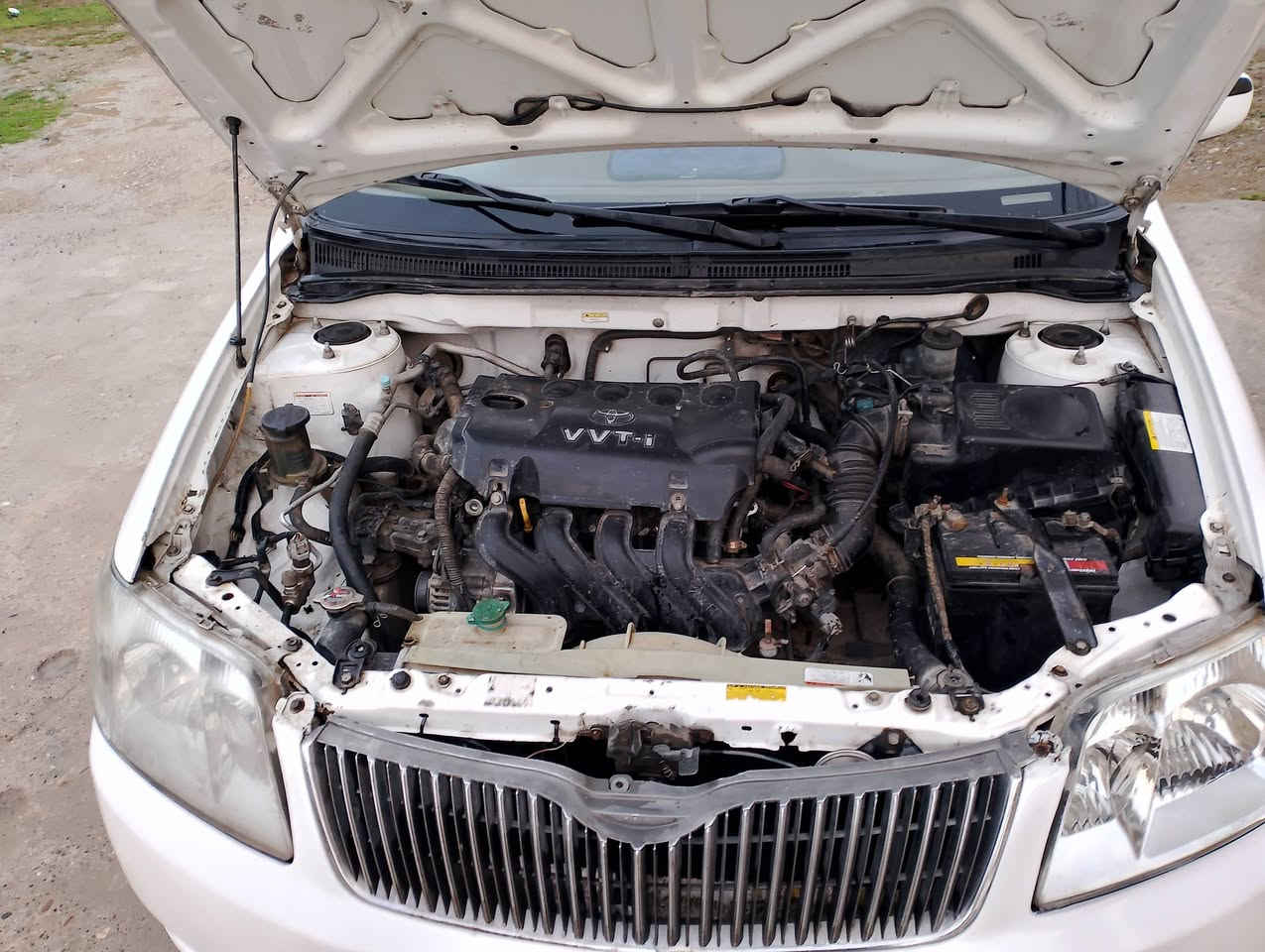 اسلام عليكم كولا بيكاتشو للبيع موديل 2006رقم بغداد مصطرا كير أوتوماتيك جامات كهرب دتفا تبريد شغال مكين كير خير من الله صاحبها الشرعي بل موصل. مكان السيارا موصل  . شرط التحويل السيارا بيها صبغ جاماغ اليمين الكدام وا ربع  اباب السايق غير متواجت علا الفيس انتصل علا ارقام ***********كورك الا اسيا ***********
