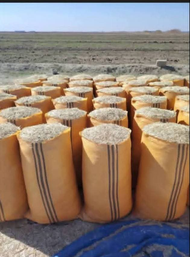 سلام عليكم يوجد تبن شحم للبيع جميع انواع القياسات نتصل بنسب أسعار رقم ***********
