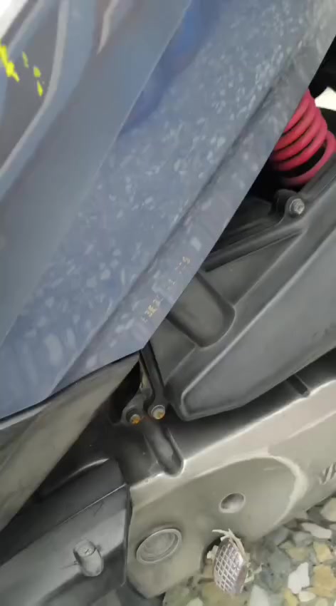 دراجه بلاديه بغبغا للبيع السعر خاص ***********
