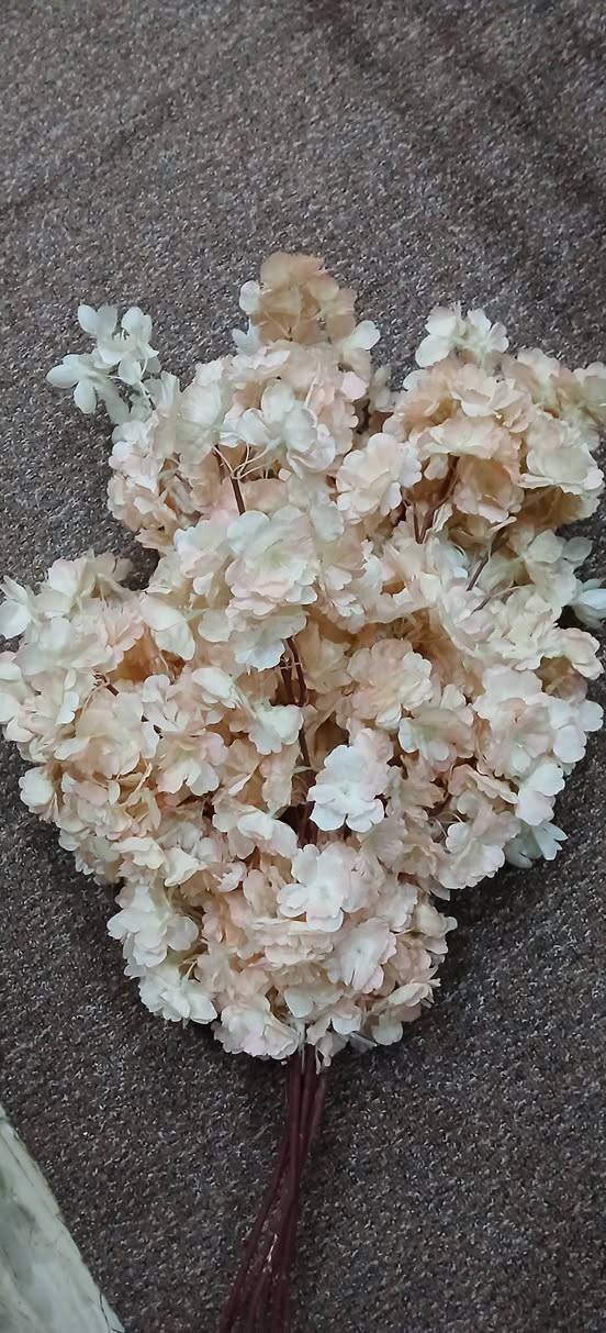 اغراض للبيع الاسعار ثابتة


**إذا كنت صاحب هذا الإعلان وتريد حذفه لأي سبب، رجاءا أرسل رسالة إلى الدعم الفني**