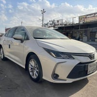 كورلا خليجي • ٢٠٢١ • رقم اربيل