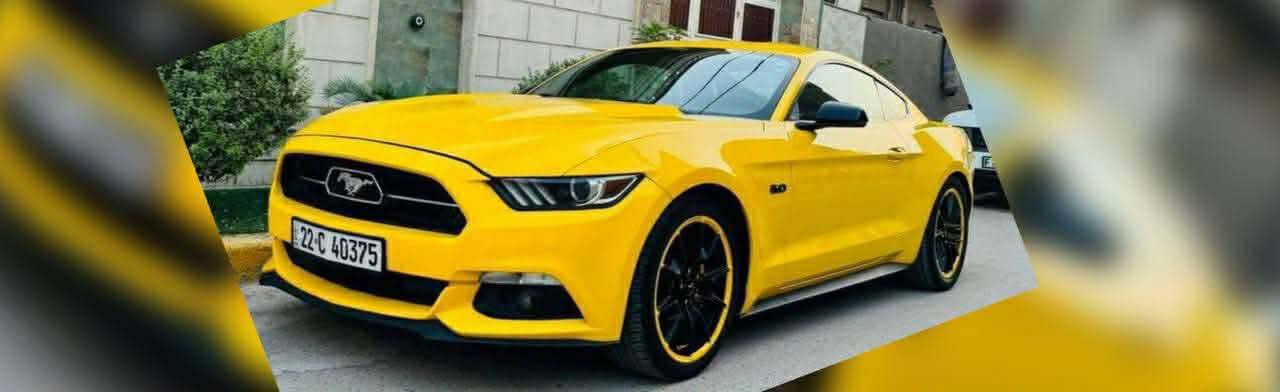 للبيع خمسة سيارات #موستنك ب اسعار مناسب ✅
موستنك كشف 2015✅
موستنك 2016 ايكو بوست
موستنك  2023 GT ✅
موستنك فئة ال 50 عام  2015 ✅
موستنك ريميوم 2022 ( GT ) ✅

سعرها والتفاصيل موجودة ع رابط قناة تلكرام https://t.me/carssofiraq
.
أو اكتب في بحث تلكرام :
👈كروب سيارات العراق 🇮🇶
وشوف سعر والتفاصيل بنفسك✔


**إذا كنت صاحب هذا الإعلان وتريد حذفه لأي سبب، رجاءا أرسل رسالة إلى الدعم الفني**