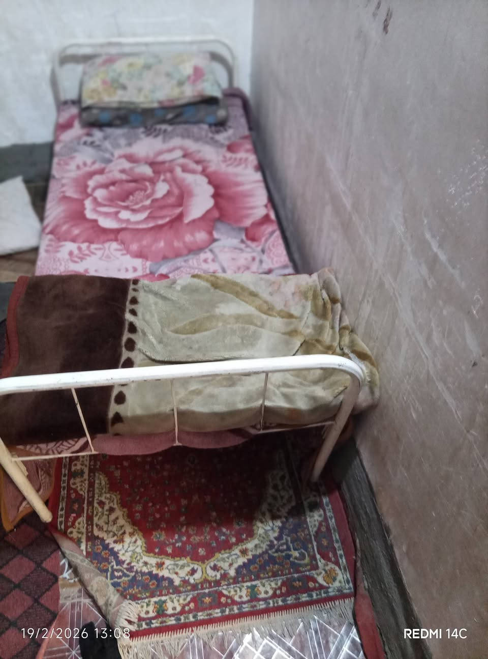 السلام عليكم تربايه للبيع السعر 60 وبيها مجال الشراي مكاني حله ***********
