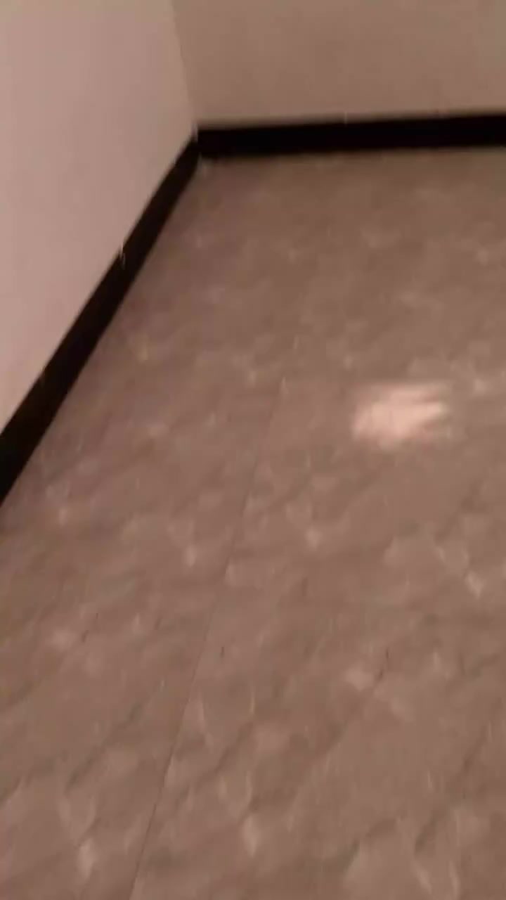 اكو بيت ايجار بكويريش بل  ٤٠٠٠طابق ارضي معزول بي غرفه مطبخ صاله ايجار  ٣٠٠قريب على الاقواس تلفون  ***********
