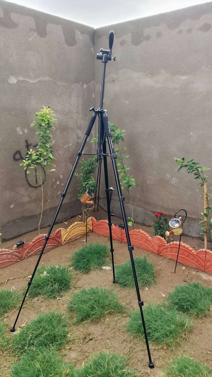 ستاند تصوير


**إذا كنت صاحب هذا الإعلان وتريد حذفه لأي سبب، رجاءا أرسل رسالة إلى الدعم الفني**