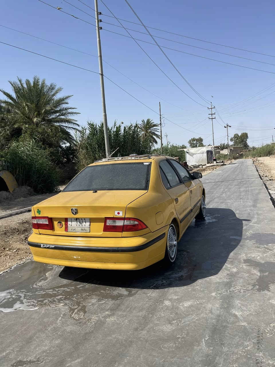 البيع او مراوس ***********كوت
