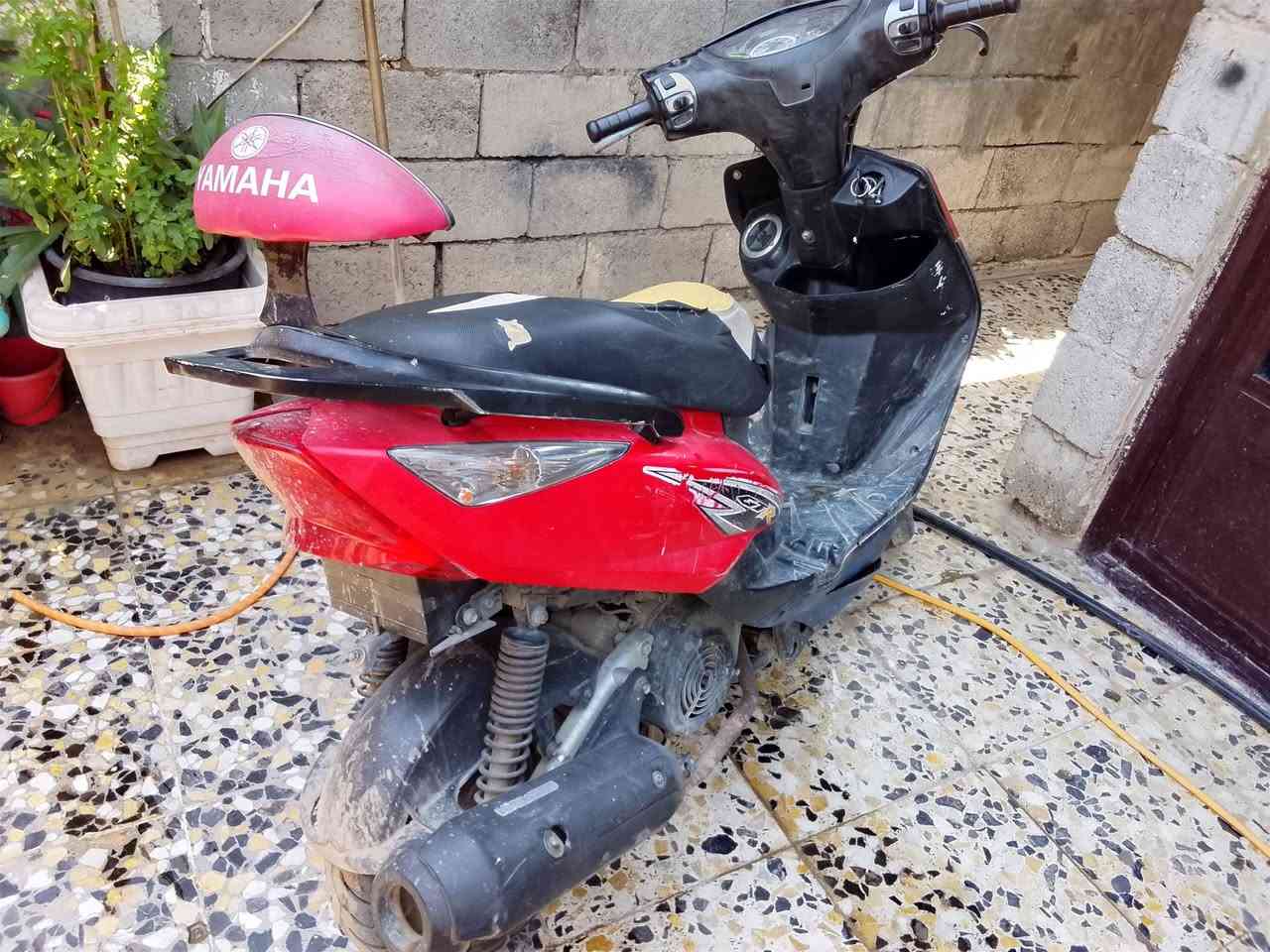 السلام عليكم ثعلب للبيع معلكه ولفات ٢٠٠ قفل قفل مكاني بغداد جزيره بغداد
‏‪***********‬‏
