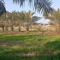 دونم زراعي • سند 25 • واجهة ٤٠×٦٠