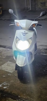 سكنس فحل للبيع ياباني اصلي  قبق نفخ  ماشية 14  الاستفار 07705157742