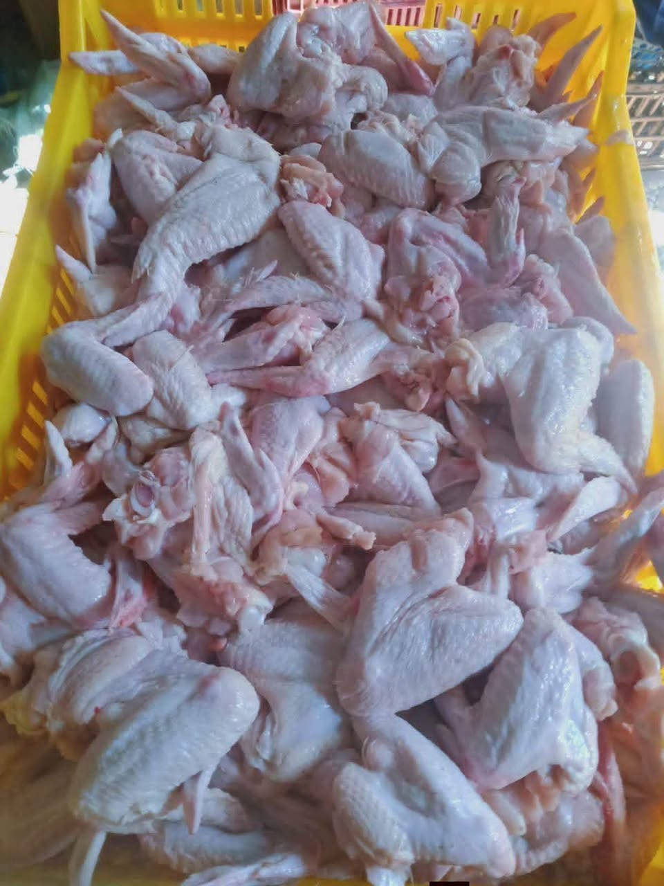 عرض يوم الاحد 5/7 العروض مستمره وبأسعار الحقول
كيلو الدجاج 3250
كيلو السمك 5000
———————
كيلو الافخاذ ب4500
كيلو الصدور 4500
كيلو الاجنحه ب4000
كيلو الحواصل 2500  #مجمع #السيد #شارع #الجامع #مقابل #مطعم #دجاج #حطب متوفر توصيل ***********
