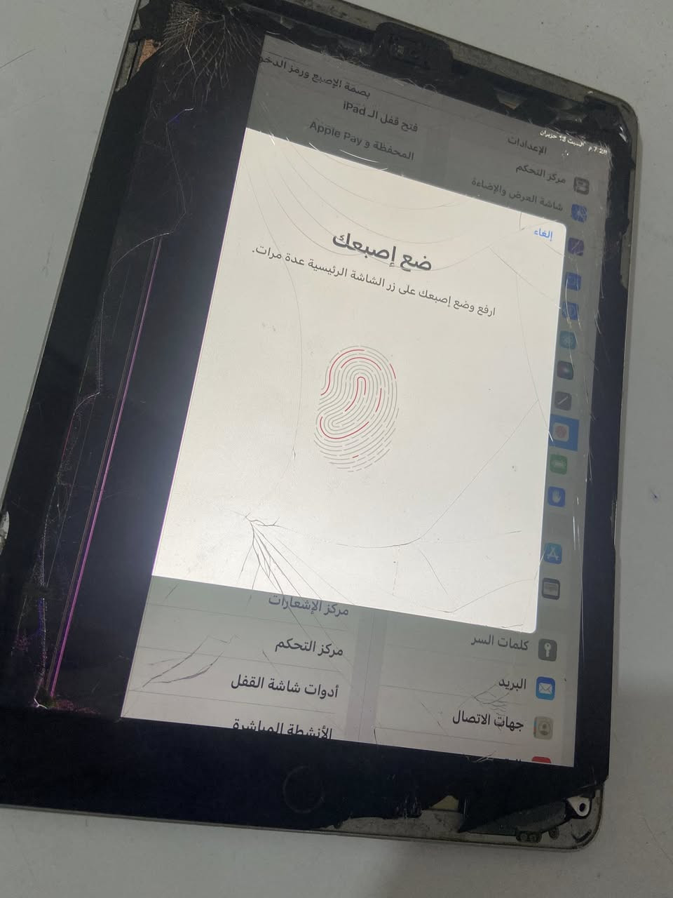 الي يريد فقط البورد ب40 ألف
سعر الايباد كامل 55 ألف
ايباد 6 ذاكره (128 غيغا) تحديث 17.7.11 
شغال وخالي من الحساب شاشة مكسوره البصمة شغالة بدون مشاكل
(ببجي 60 فريم) يوتيوب شغال مبدل قطعة شحن (ايضاً بطارية ونسبتها 100 / 26 دورة الشحن ) زر البور مرات ما يضغط لكن شغال


**إذا كنت صاحب هذا الإعلان وتريد حذفه لأي سبب، رجاءا أرسل رسالة إلى الدعم الفني**