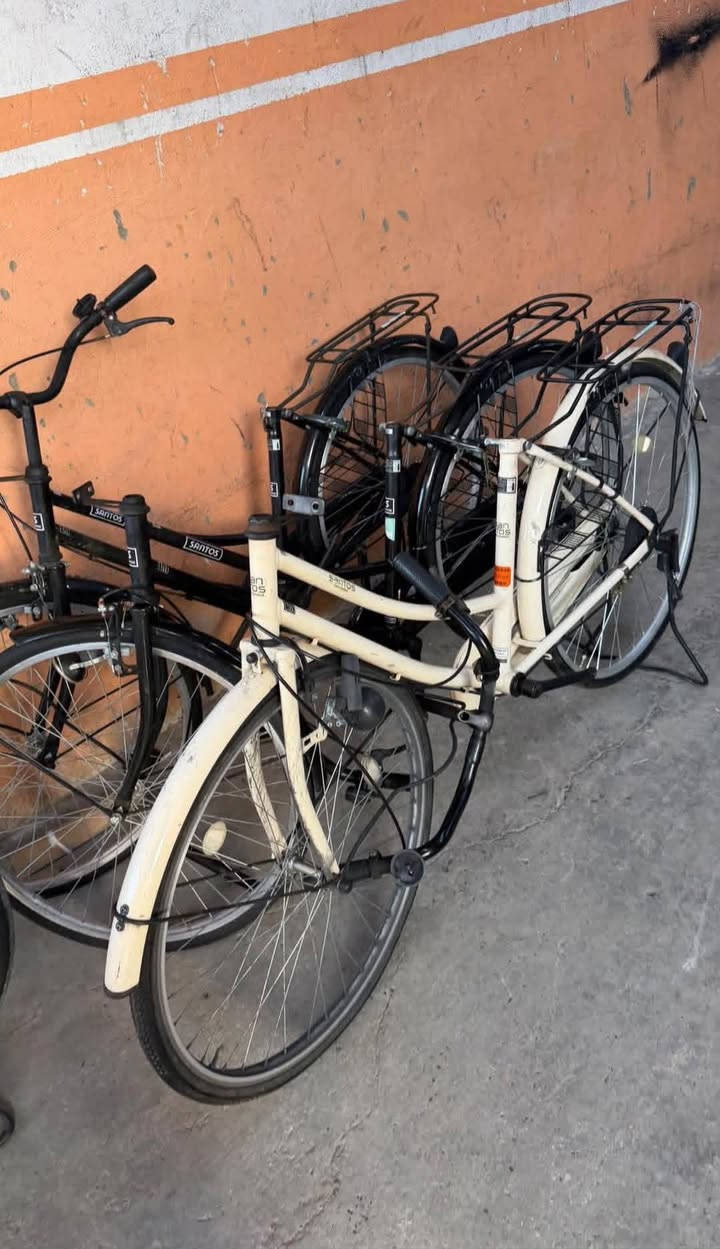 باسكل البيع سانتوس موديل 2022
الباسكل لونه حليبي فول نضافه 
قبل اربع ايام نازل من كرار ابو النقش 
الباسكل بعده بصخامه ماي ما ذاب عليه 
خاص مفتوح الشراي بي خير يدلل ،،،،،


**إذا كنت صاحب هذا الإعلان وتريد حذفه لأي سبب، رجاءا أرسل رسالة إلى الدعم الفني**