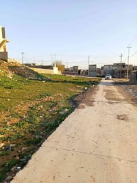 زيتون • ٦٠٠م • سند ٢٥ زراعي