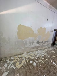 صباغ بغداد • اصباغ وديكورات • صباغ منازل • طلس جدران • عمل وكرسته • صب...