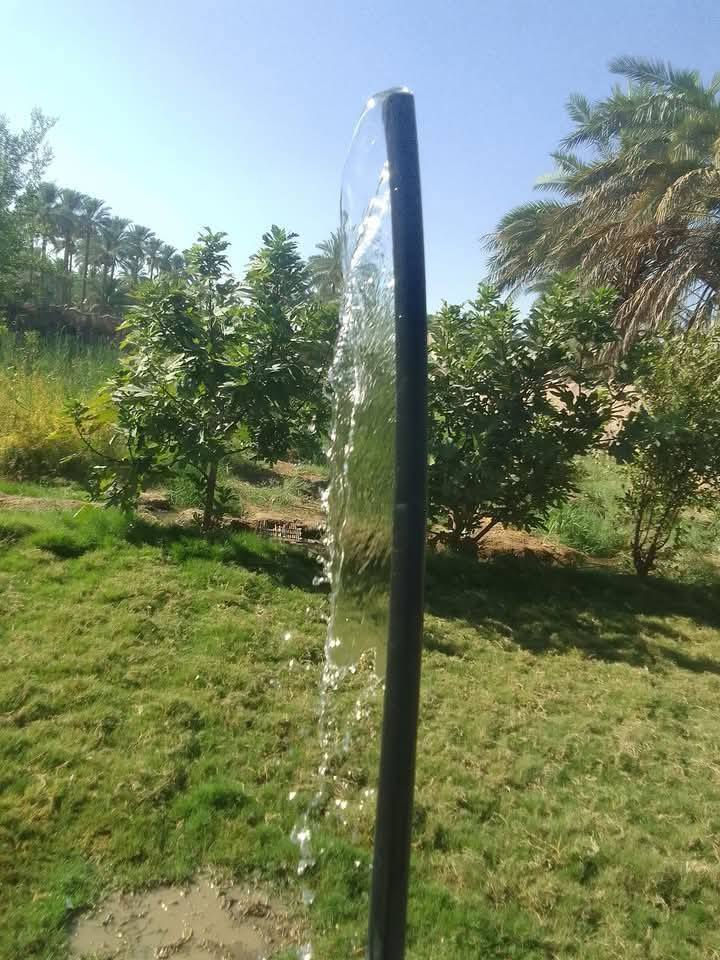 السلام عليكم اعيدالنشر بسبب الوعود الكاذبه مزرعه للبيع  المساحه ٨٠٠ من ظمنه  بيت حديث  صار اربع اشهر من بنيته  متكون من غرفتين وصاله وستقبال ومطبخ وحمام داخلي سويت وحمام خارجي الخدمات ماء اساله وماء  سقي  وكهرباء ومولد شارع  ذهبي ومدارس متوصت وابتدائي وبيه فواكه تين  ونخل شكر وزهدي وخستاوي ومزروعه  والثيله ١٠٠ متر  سند ٢٥ تحويل اسهم بلطابو شرط ثاني يوم  المكان بابل القاسم الهاشميه الجربوعيه تبعد عن طريق الزائرين العلجربوعيه 200متر تفاصيل اكثر اتصل *********** السعر  علخاص لو تتصل لو واتس اب.
