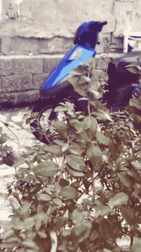 دراجه ماكس عدله للبيع مكينه مكفوله كفرات تجاري رايده 500وبيه مجال مكان...