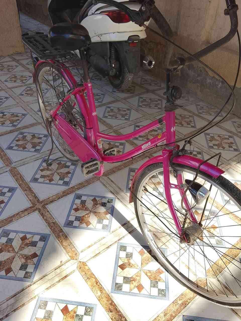 السلام عليكم باسكل لونين وردي على بنفسجي موديل 2021 حاويه الباسكل مختم وياباني اصلي مو صيني ما ناقصه شي السعر 125وبي مجال مكان بابل شارع 80قرب الموارد المائية وهاذه رقمي بي واتس ***********
