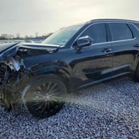 باليسايد • كاليجرافي نايت • ٢٠٢٤