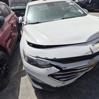 ماليبو • ٢٠٢٤ • وبيه ورق