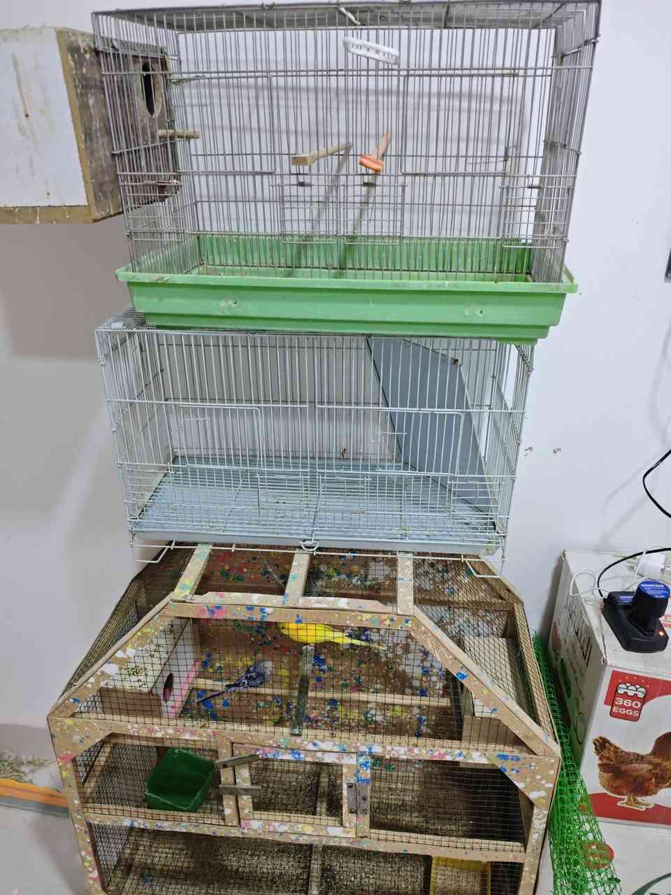 متاح اقفاص للبيع


**إذا كنت صاحب هذا الإعلان وتريد حذفه لأي سبب، رجاءا أرسل رسالة إلى الدعم الفني**