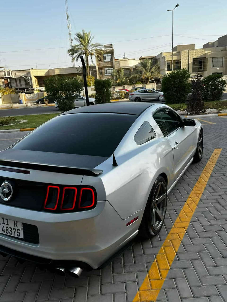 سلام عليكم
موستنك 2014

مكينه كير شرط 

تبريد تدفيه كلو بلاد

سياره مابيها اي نقص 

بسمي وكاله تحويل 

رقم سنويه هزه جديد 

كزوز كروسيده ريمونت

٣قطع بيها  مكانها موصل 

سياره جديده بعنه الكلمه احلا من الصور

سعر 115بيها جال 

للستفسار ***********
