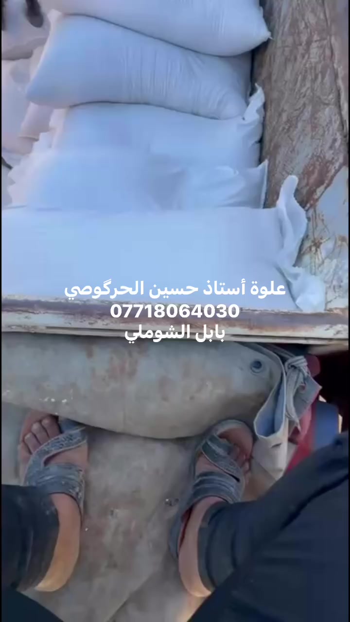 على بركة الله سوف تصل غداً شعير مستورد
سعر الطن 535
بابل الشوملي 
***********
***********
للتحميل المباشر
