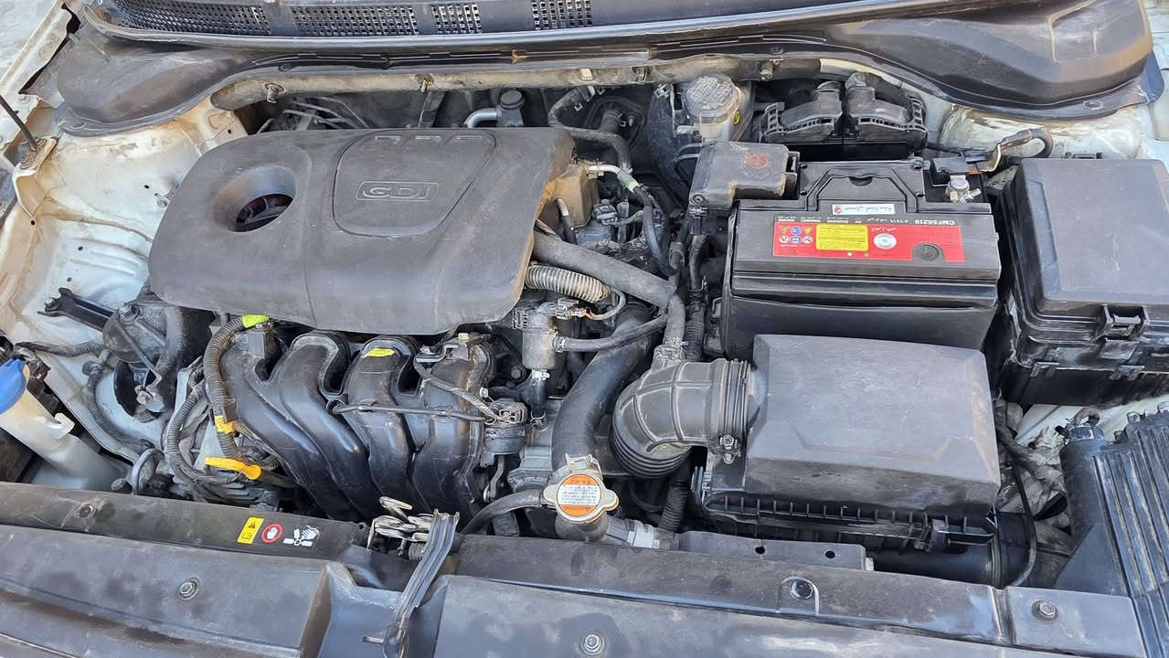 اكسنت ٢٠١٩ وارد امريكي ضررها شبر بالبوند مابيها ايرباك محرك ١٦ gdi بيها مكانات بارد


**إذا كنت صاحب هذا الإعلان وتريد حذفه لأي سبب، رجاءا أرسل رسالة إلى الدعم الفني**