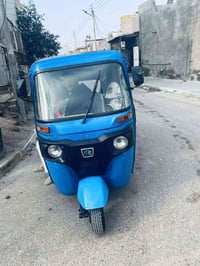 زركه 2022 • بصره حيانيه • رقم وسنوية