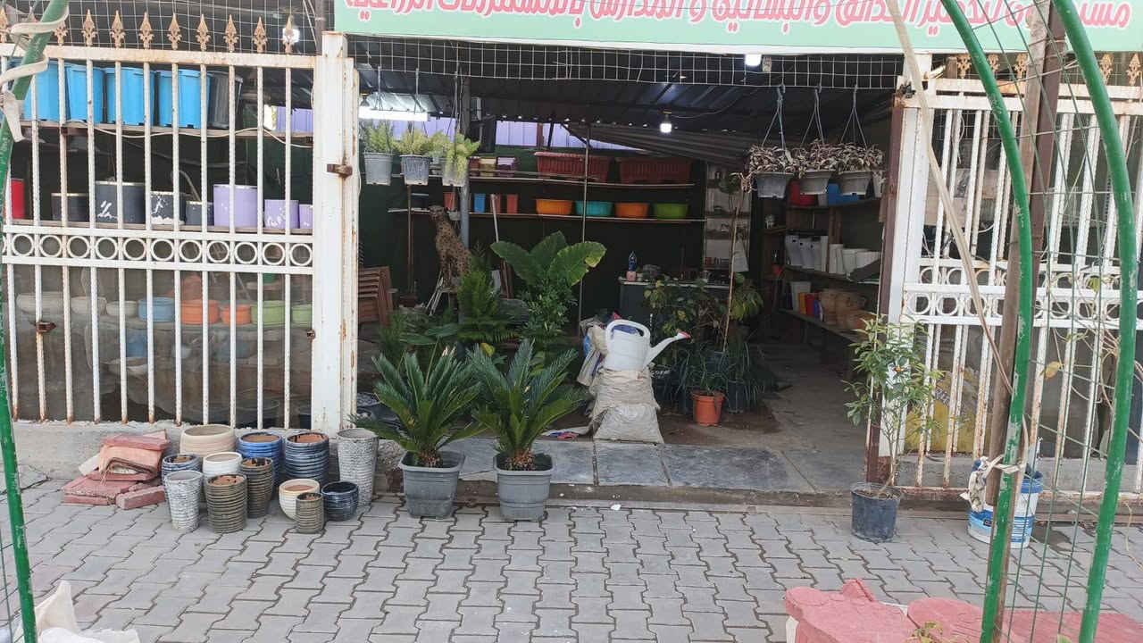 السلام عليكم مشتل للبيع و دفئية زراعية المساحة100متر ٤ برادات ٣ دفئيات  ايجارة ٥٠٠ عنوانه الغزالية الشارع العام للاستفسار أكثر *********** فقط واتساب
