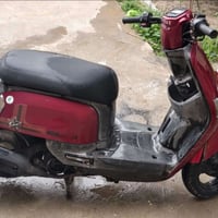 ماكس بوليس نوزل • مكفول • سوگ الشيوخ