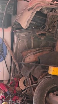 سستمين راس ثور فلات • زيتوني وابيض • ذقار