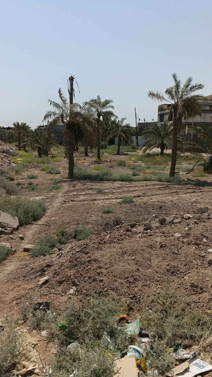 عقارللبيع 1900متراسمك يدخل سهم بالطابو موقع مميز على شارع تبليط المكان ابومغيره شارع مرطبات رمانه مقابل شركة تام السعر450مليون وبيها مجال ***********
