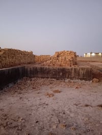 ٣٥٠م • بتلو • خلف الرياحين