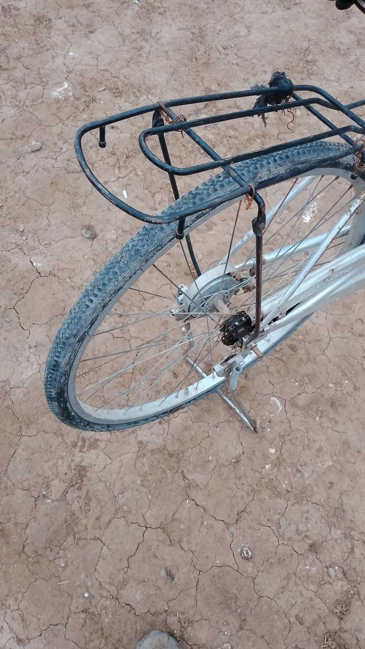 اسلام عليكم 
بايسكل للبيع او مراوس بهوايه بيسكل كله جديد  تايرات واحد قبل اسبوع شديته جديد والخر صارله شهر بايسكل اصعده وفتر ولله راقي


**إذا كنت صاحب هذا الإعلان وتريد حذفه لأي سبب، رجاءا أرسل رسالة إلى الدعم الفني**