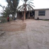 بستان • طابو زراعي • هيكل ٣٢٠م