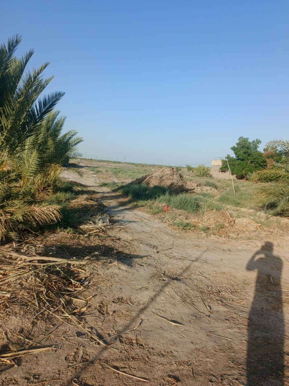 سلام عليكم  دونم للبيع على طريق لحلو مساحته دونم  لواجه 20 ونزال 125 مثل  سعره مناسب ماي كهربائي ماي سكي كلشي متوفر ***********
