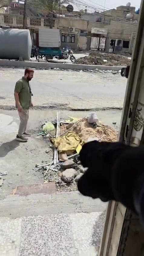 الرقم ***********
