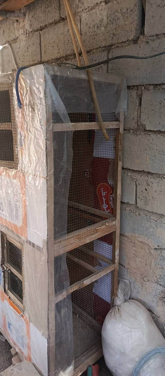 للبيع


**إذا كنت صاحب هذا الإعلان وتريد حذفه لأي سبب، رجاءا أرسل رسالة إلى الدعم الفني**