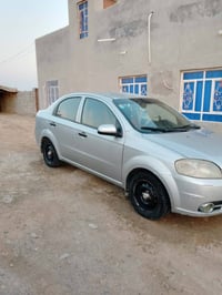 افيو • ٢٠١٦ • السماوه الوركاء