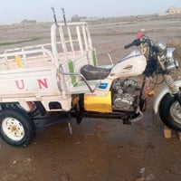 ستوته • موديل 16 • اوراق اصولي