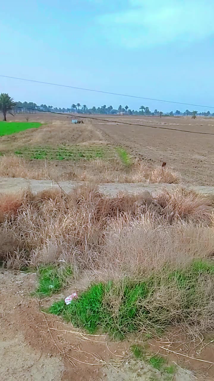 واتساب ***********
***********
