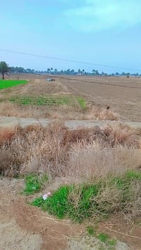 أرض • الرباقات خلف الجوهرة • ١٥٠٠م