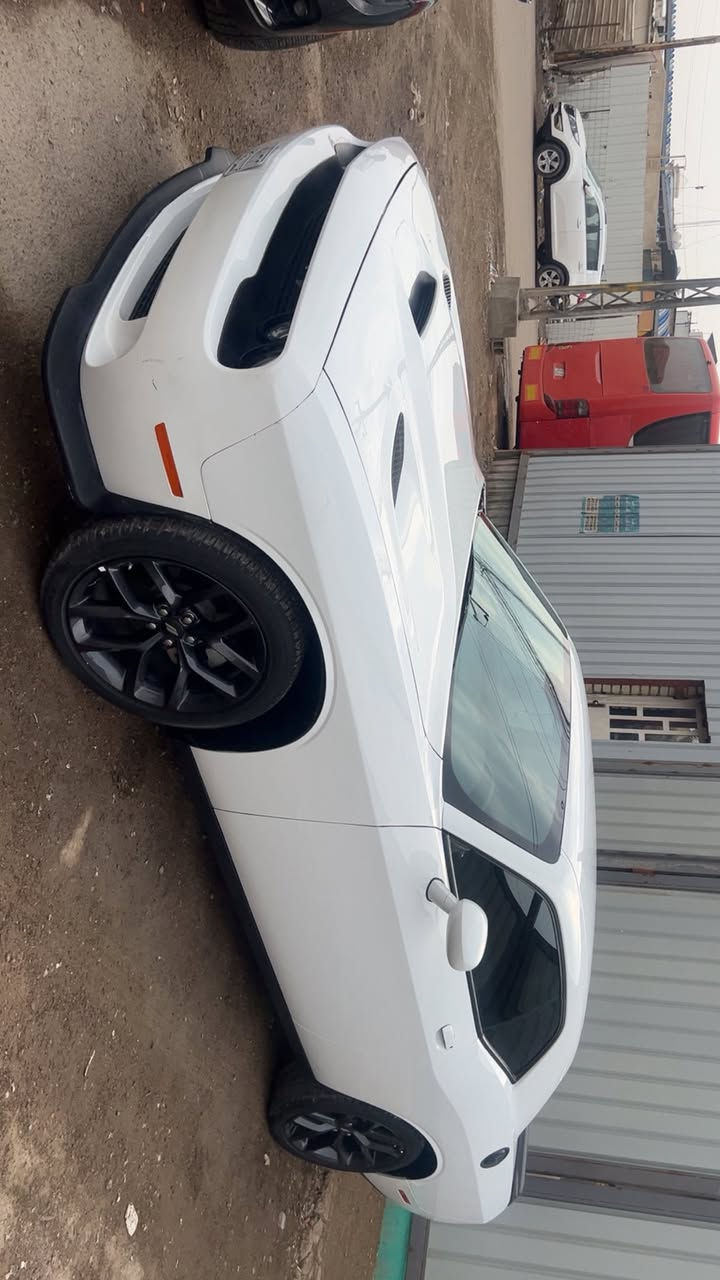 سلام عليكم
جالنجر 2023
Sxt
حادث  جاملغ بنيد 
ماشية2000mi 
بدون رقم 
 
السعر 175وبي مجال قليل 
(بغداد. حي اور)

***********
