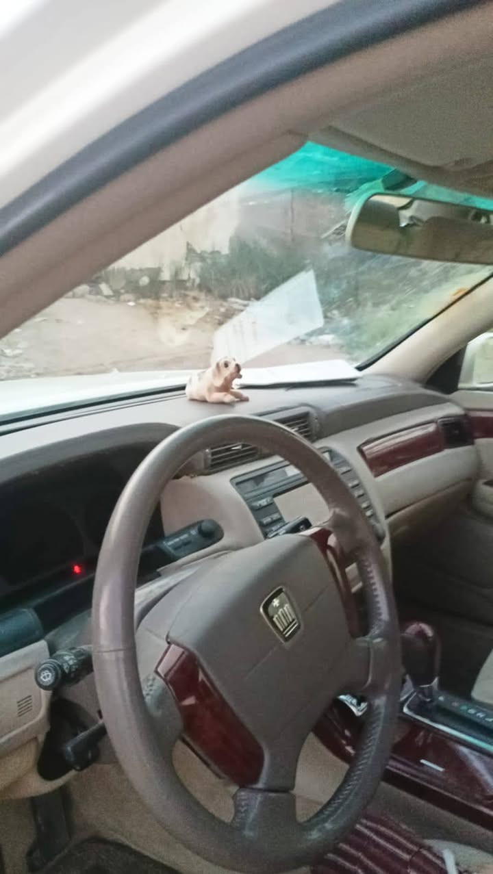 السلام عليكم سياره ملكه گصه قماره
ادوات جاهره   شاشه دكمتين مكينه ديفور الزغير 
لون ابيض صدفي اكرستال اصل ماشيه 70الف 
حداديه كير مكينه جديد السعر 42
***********
***********

