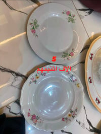 بلول • للبيع • السعر بالصور