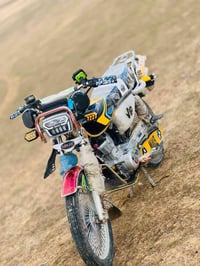 تايكر 2025 • فول نضافة • خمس نمار