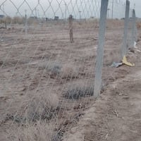 مشيمش على البزل • سند ٢٥ • ١٧٠م