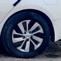 ويل التيما • ١٦ أو ١٧ • كبات ومراوس