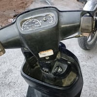 بطة • كدامك • نفس التصوير