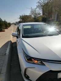 كورلا خليجي رقم أربيل موديل 2024 فول موصفات مكفوله من الصبغ والشخوط فق...